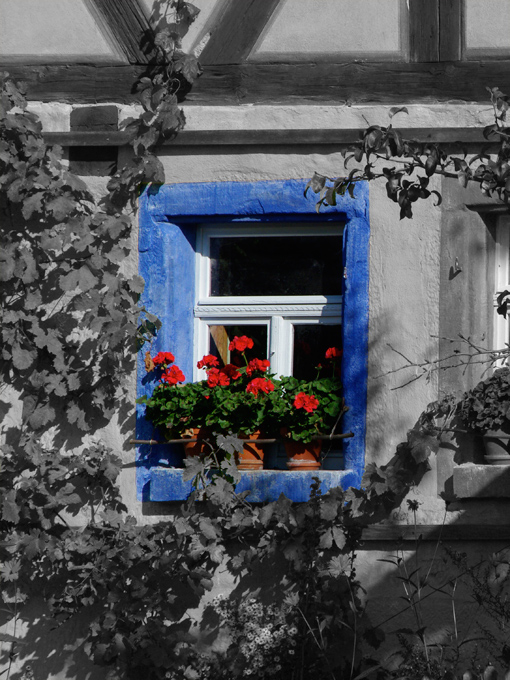 same black and white photo with color added to just window frame and window plants