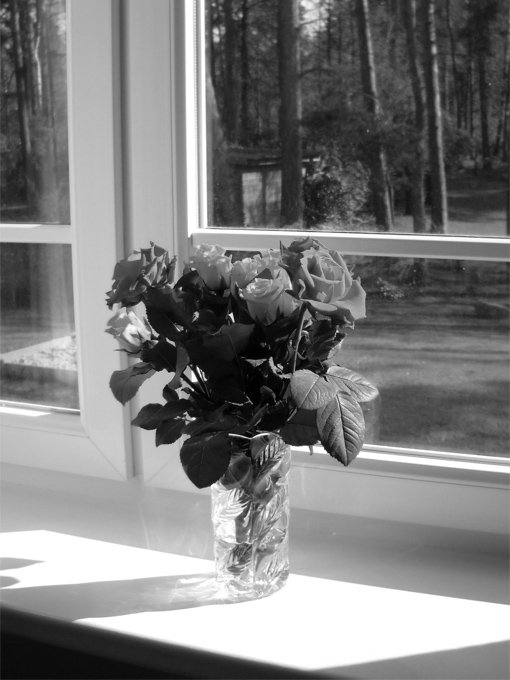 black and white photo of roses in vase on window sill
